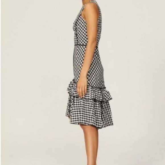 TOME Collective- Gingham Ruffle Hem Dress - Picture 7 of 10